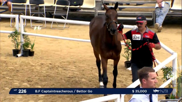 NZB Standardbred Yearling Sale 2023 - Day 3 lots 226 to 235