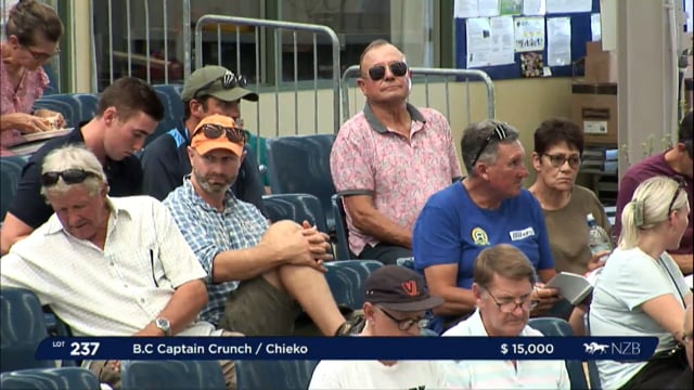 NZB Standardbred Yearling Sale 2023 - Day 3 lots  235 to 243