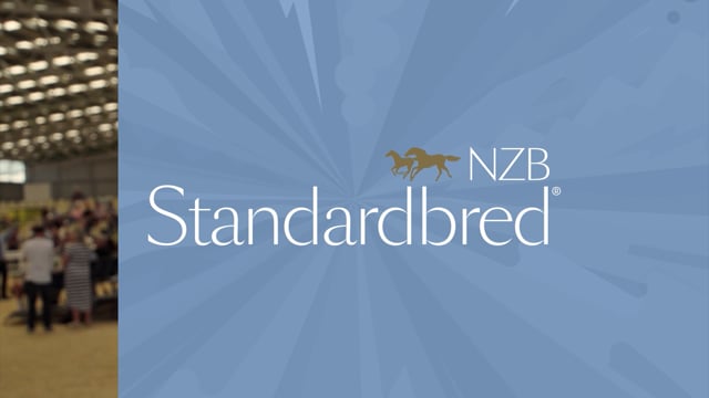 2023 National Yearling Sale | Regan Todd