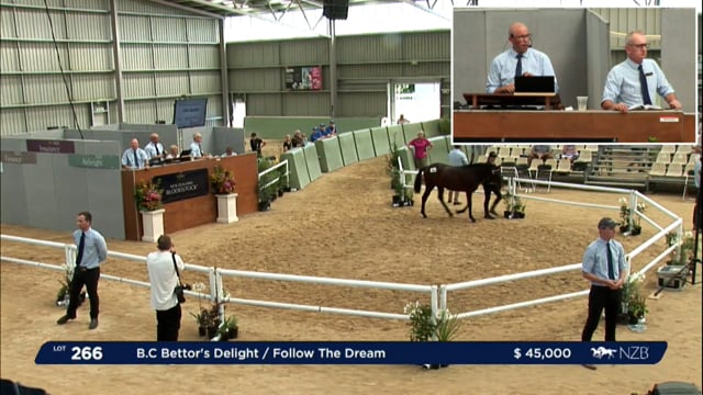 NZB Standardbred Yearling Sale 2023 - Day 3 lots 266 to 272