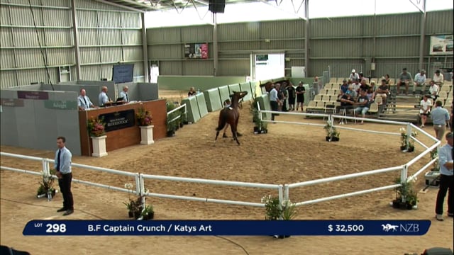 NZB Standardbred Yearling Sale 2023 - Day 3 lots 298 to 300 + Review