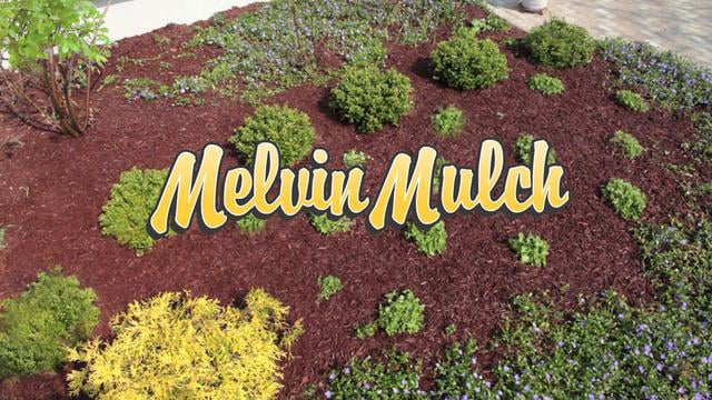 Image of Colored Mulch by Melvins Mulch