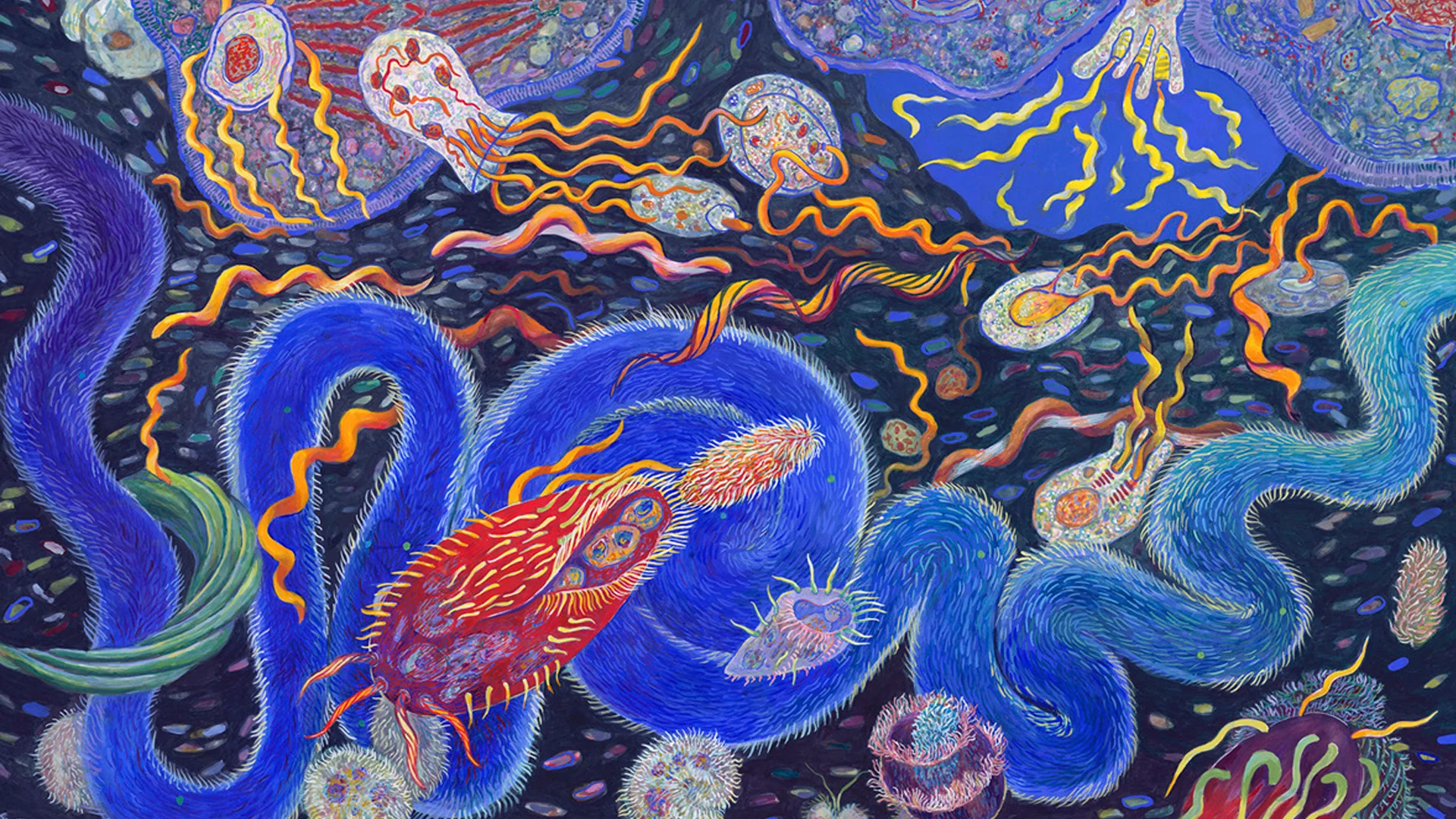 Piter Shimoliyni retro uslubida tomosha qiling