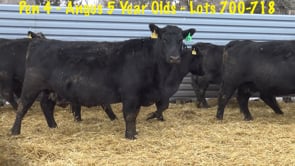 Lot #720 - PEN 4: 720