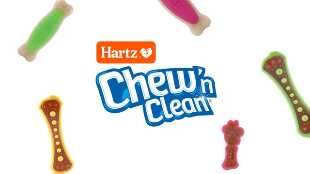 Hartz® Chew 'n Clean® Tri-Point Dog Toy - Small