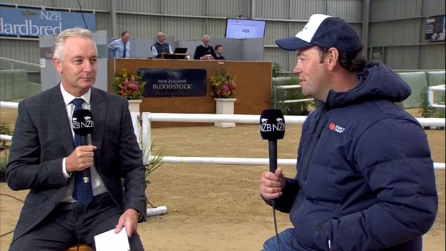 NZB Standardbred Yearling Sale 2023 - Day 4 lots 301 to 308