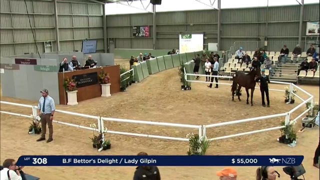 NZB Standardbred Yearling Sale 2023 - Day 4 lots 308 to 316