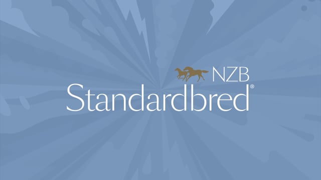 2023 National Yearling Sale | Thomas Patterson