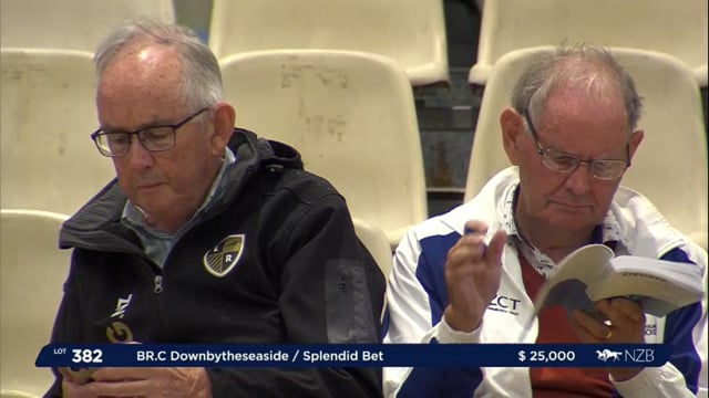 NZB Standardbred Yearling Sale 2023 - Day 4 lots 382 to 389