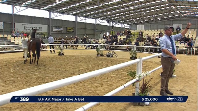 NZB Standardbred Yearling Sale 2023 - Day 4 lots 389 to396