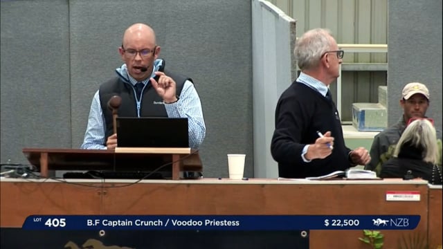 NZB Standardbred Yearling Sale 2023 - Day 4 lots 405 to 406 + Review Show pt 1