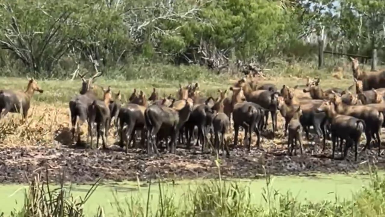 Hubbard Ranch Outfitting