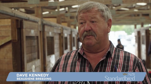 2023 National Yearling Sale | Dave Kennedy