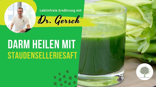 Sollte ich Staudenselleriesaft trinken, um meinen Darm zu heilen? 