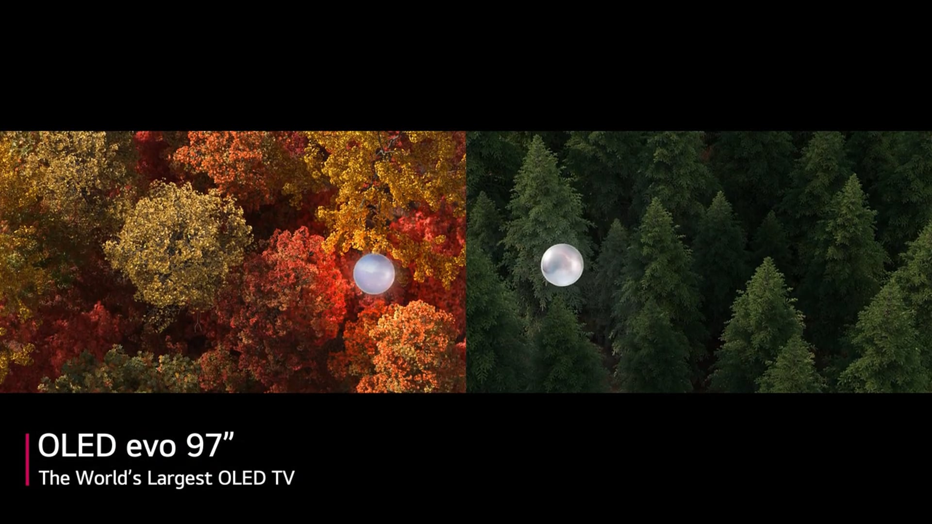 LG 97-inch OLED (IFA 2022)