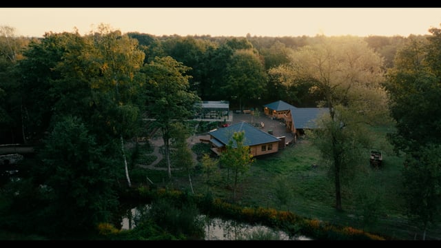 Vimeo video