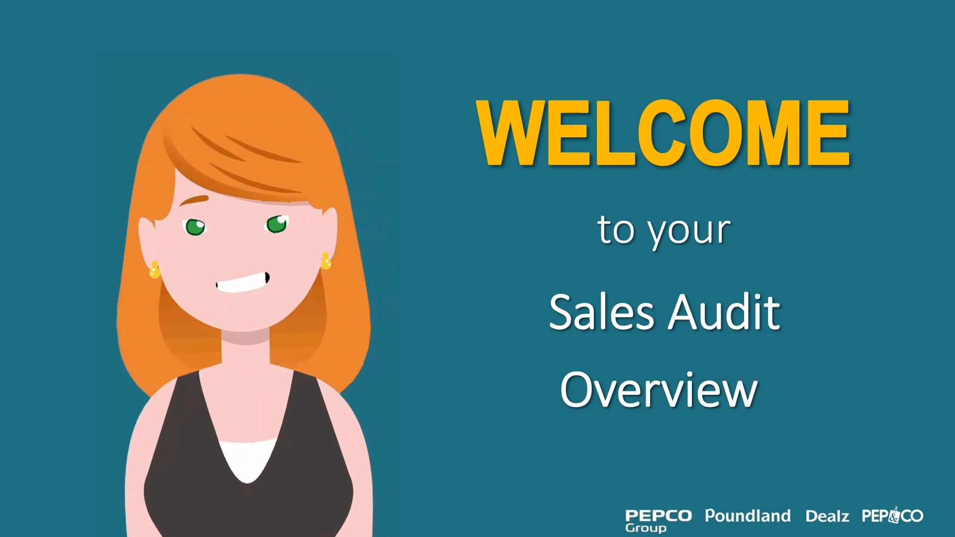 13-sales-audit-overview-v1-0-mp4-on-vimeo