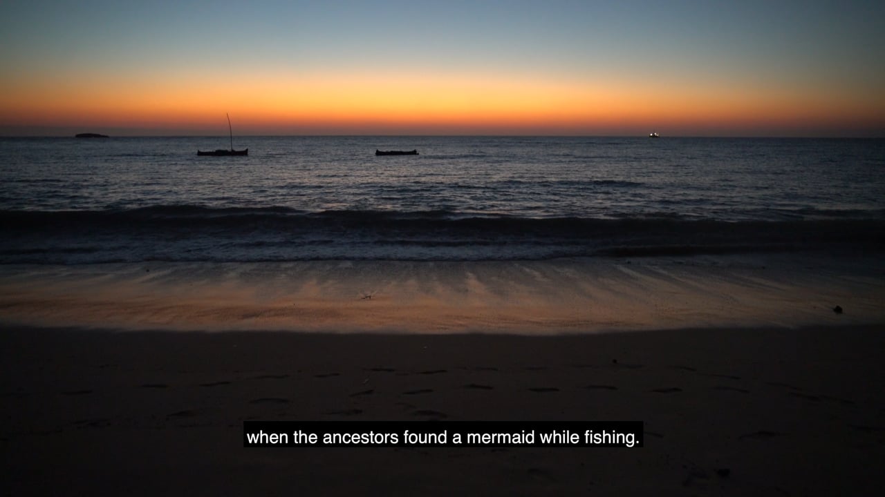 Felicia The Life of an Octopus Fisherwoman, a video by José C. Pons