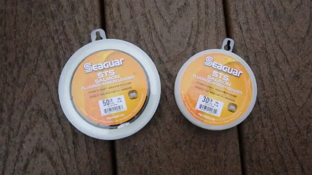 Seaguar STS Salmon Trout Steelhead Fluorocarbon Leader 100 Yards — Discount  Tackle