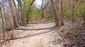 Walking Through  - Cameron Park Trail