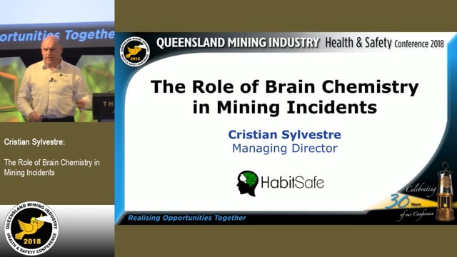 Sylvestre - The Role of Brain Chemistry in Mining Incidents