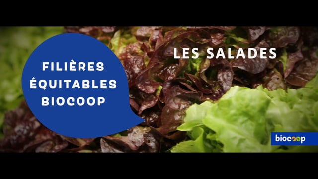 Filières équitable : les salades [SST_FR]