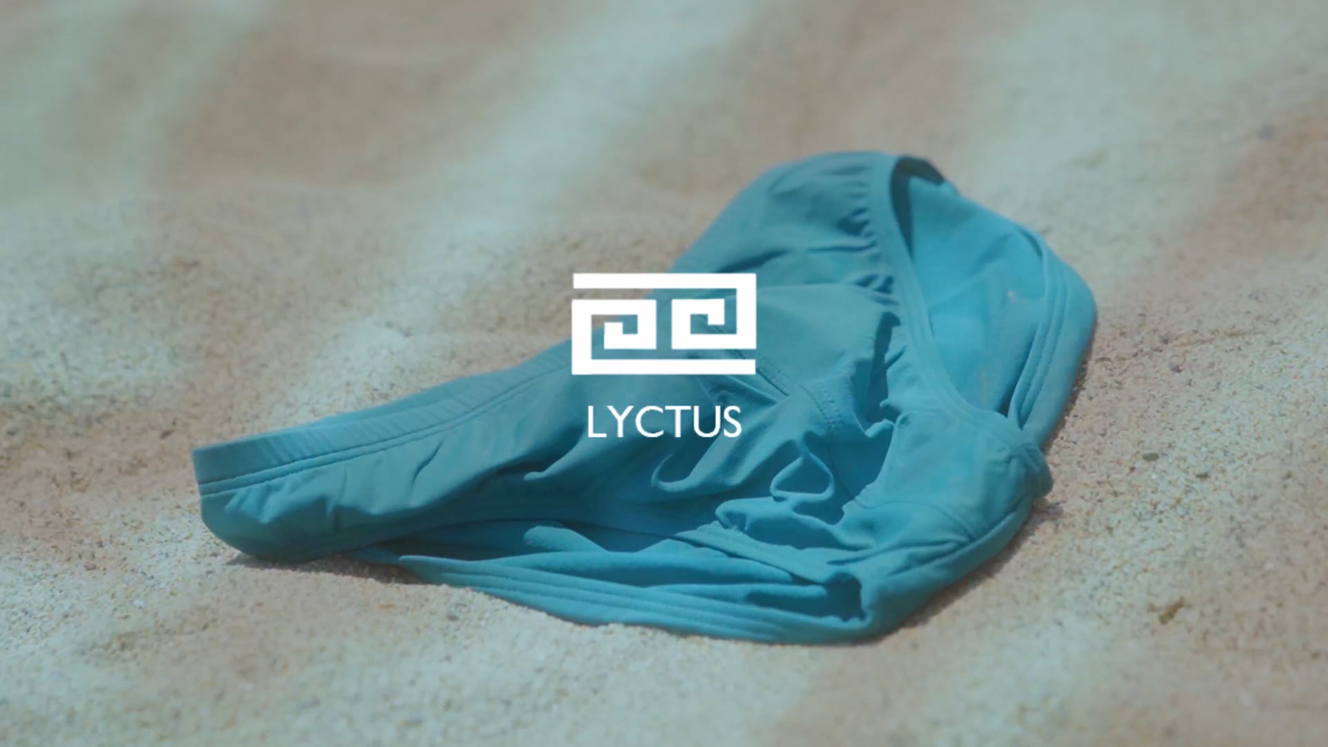 Lyctus - A Meaningful Journey