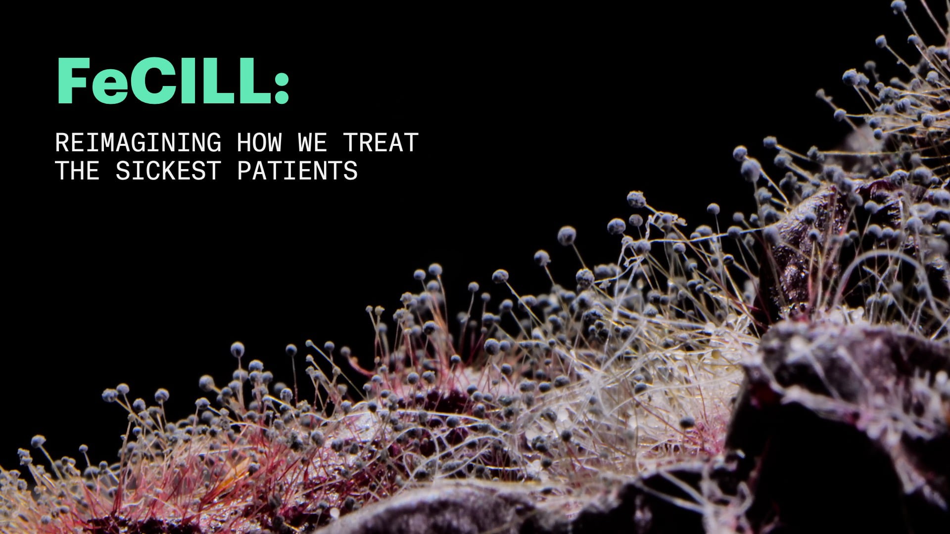 FeCILL: Reimagining How We Treat the Sickest Patients