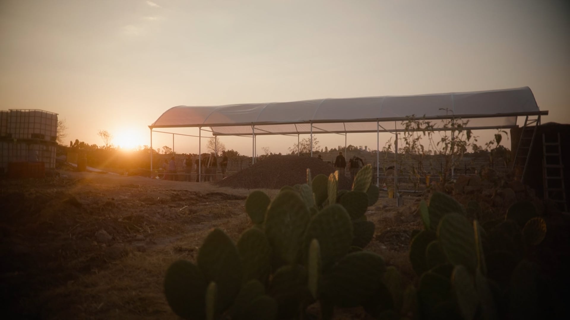 Cosecha — Feeding Mexico with Aquaponics