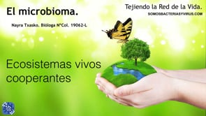 Microbioma, ecosistemas vivos cooperantes.