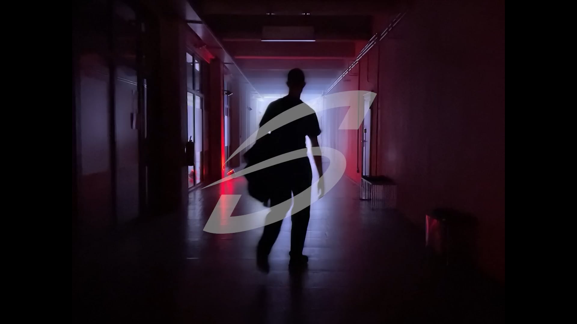 Signals Festival 2022