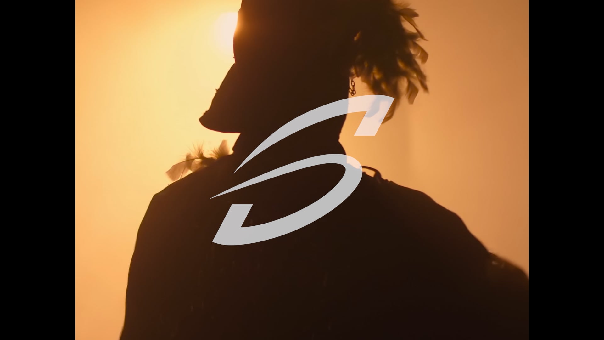 Signals Festival 2022