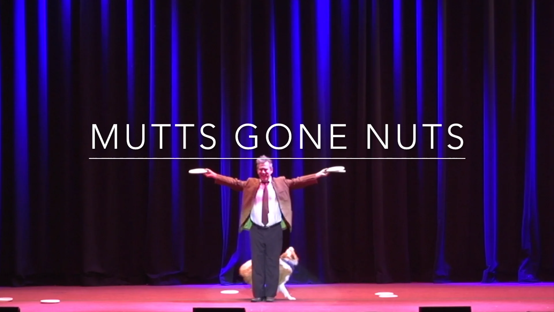 Mutts Gone Nuts Promo Video on Vimeo