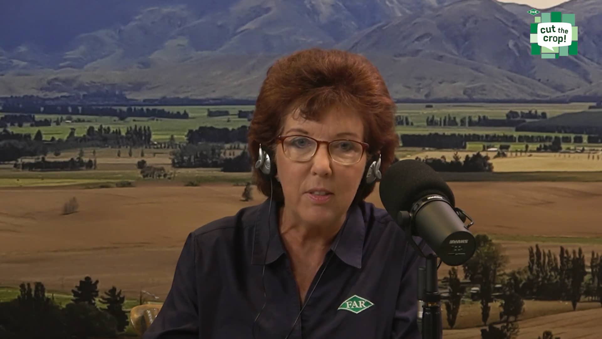 South island harvest roundup on vimeo