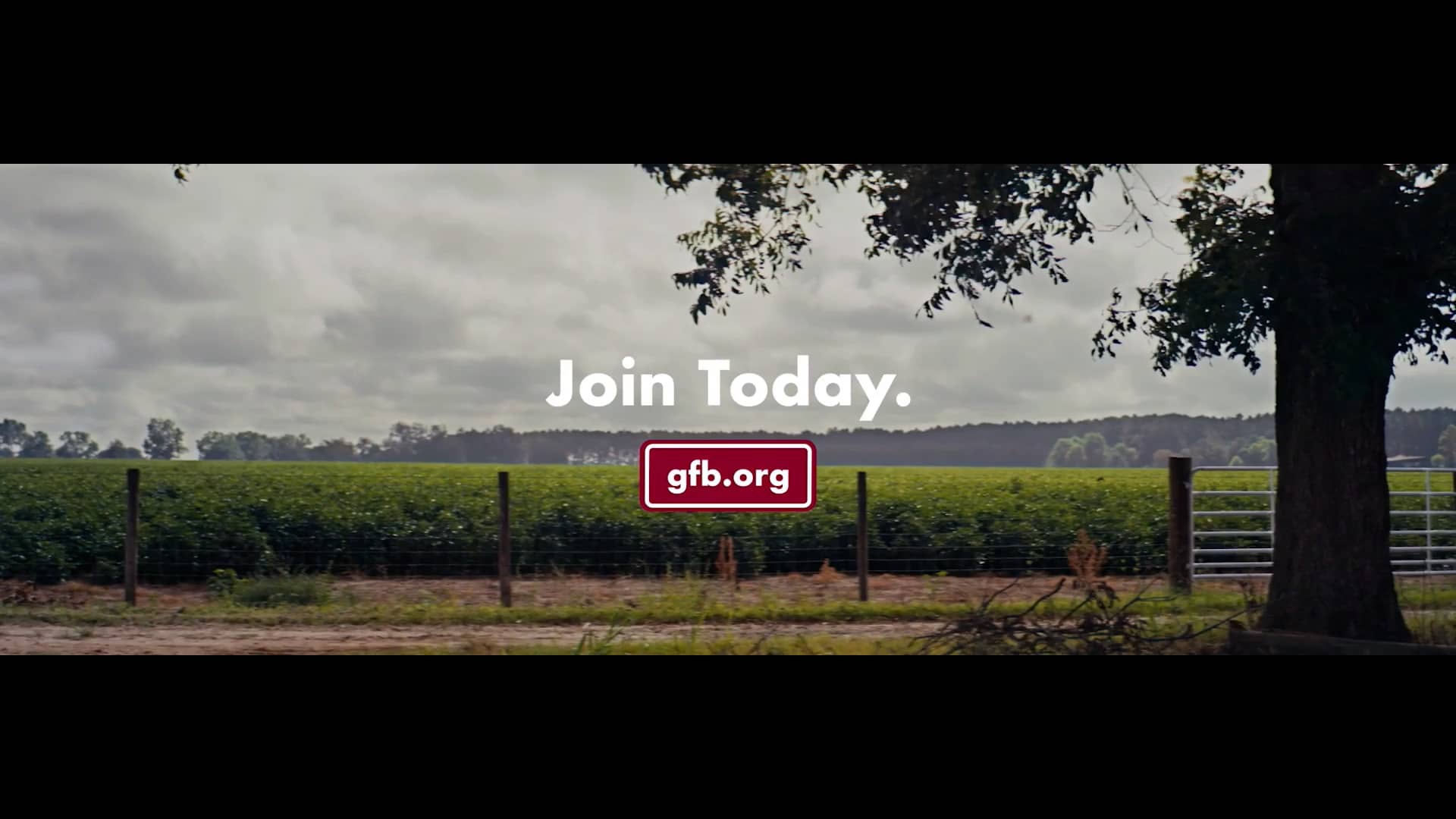 Ga State Show 2023 Swine Showmanship on Vimeo