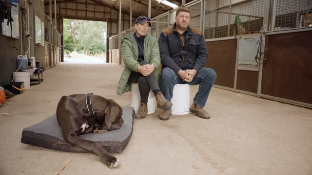 Maluka Thoroughbreds - 2023 Inglis Premier Sale