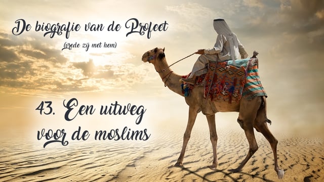 43. Een uitweg voor de moslims