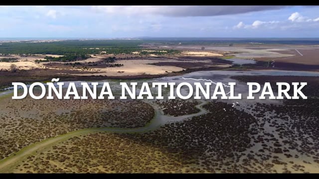 Doñana National Park