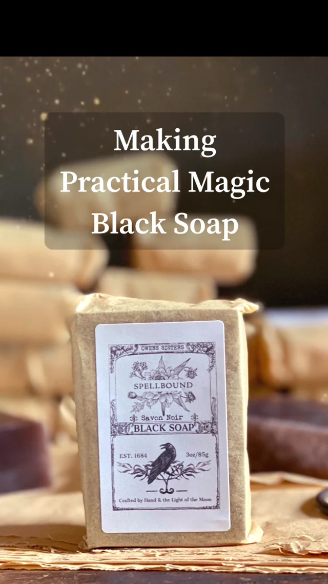 The Queen's Gambit  Wild Red Reishi Mushroom Soap – Black Magic