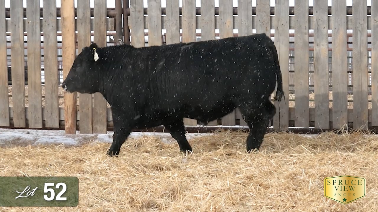 SpruceView_52.mp4 on Vimeo