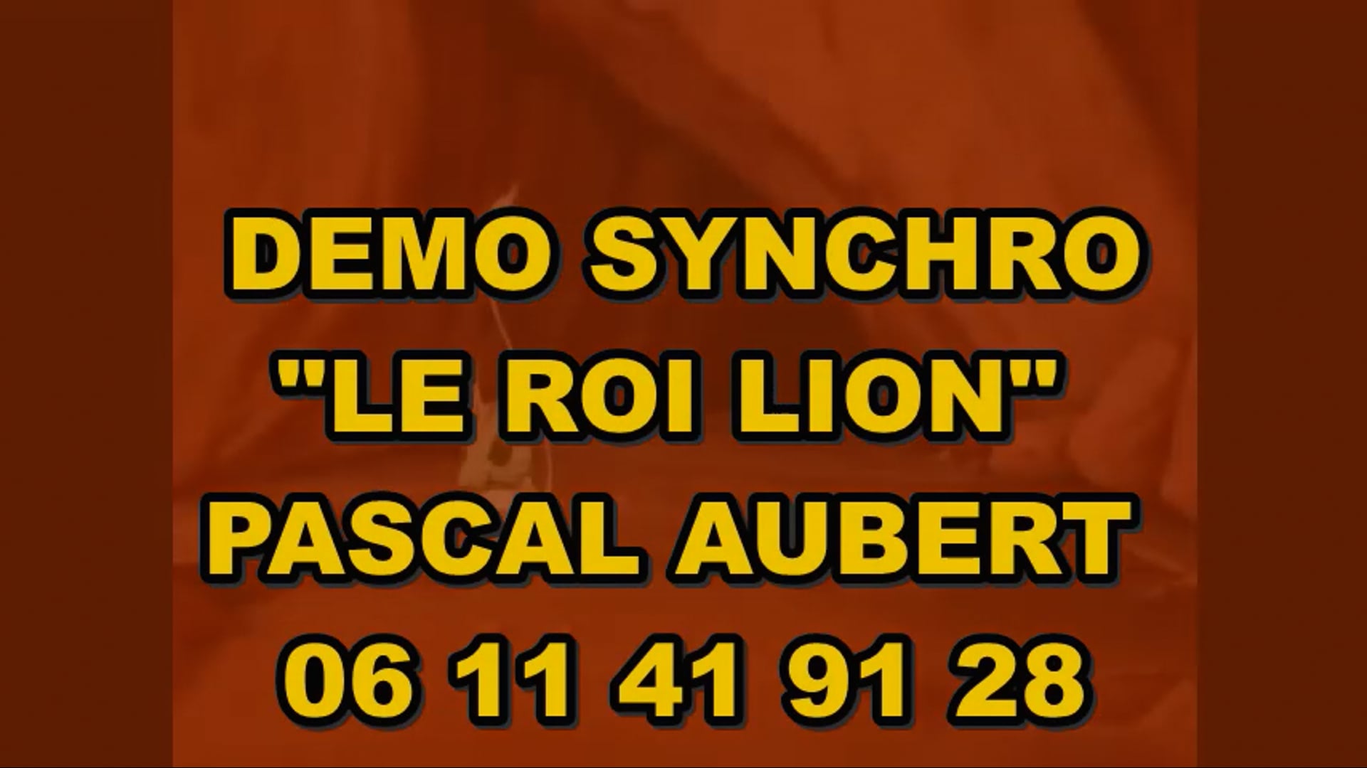 Vidéo DEMO SYNCHRO Pascal Aubert Le Roi Lion BAE.mp4