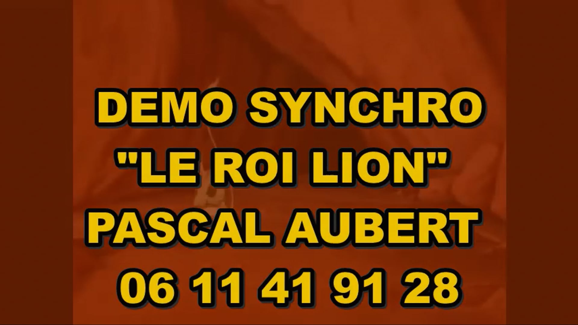 Video DEMO SYNCHRO Pascal Aubert Le Roi Lion BAE.mp4