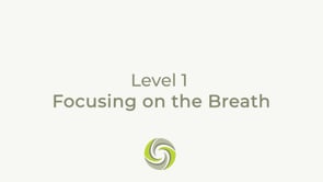 Focusing on the Breath