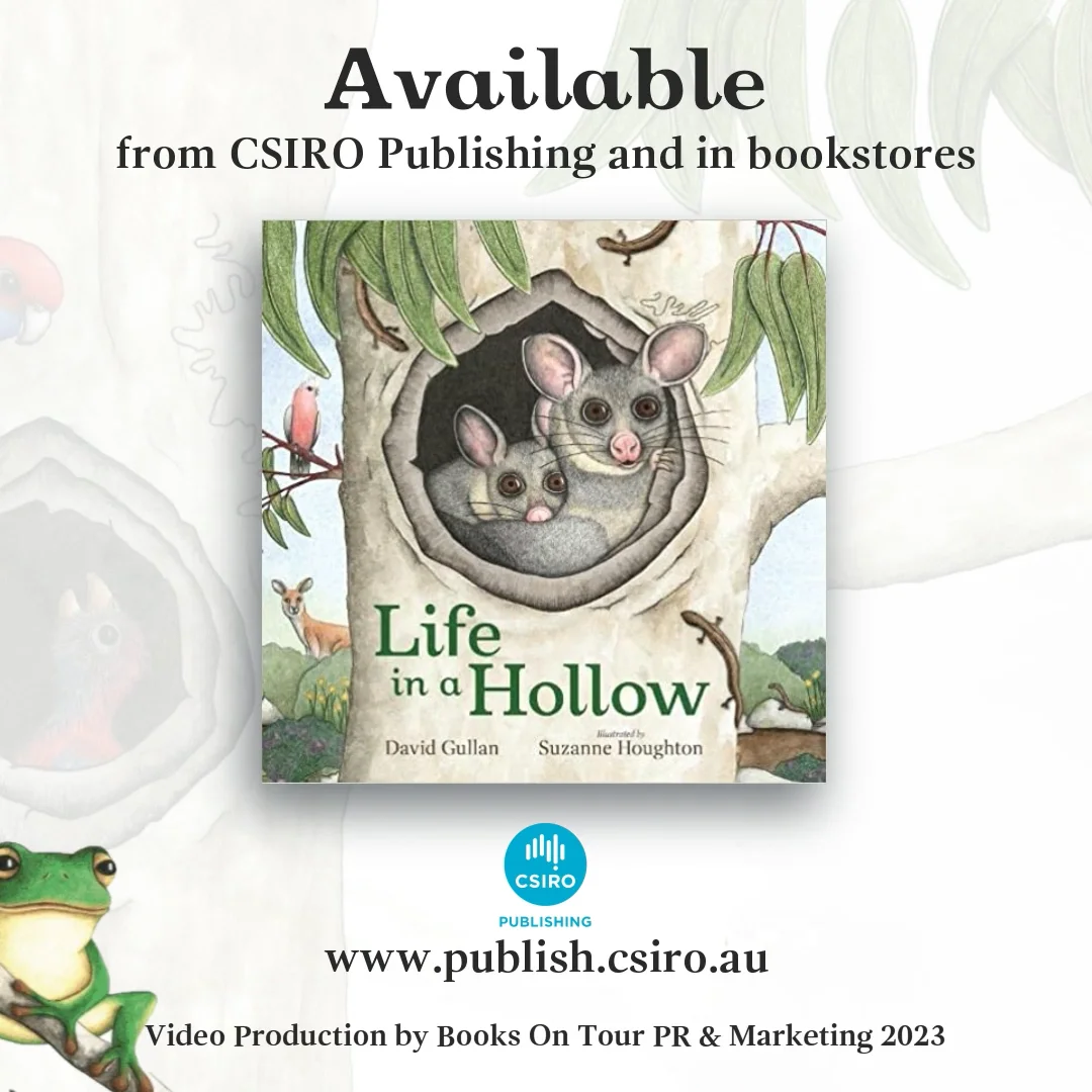 Life In A Hollow