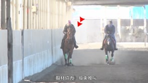 動画サムネイル