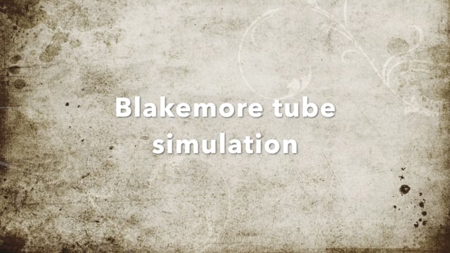 Blakemore tube SALAD simulation