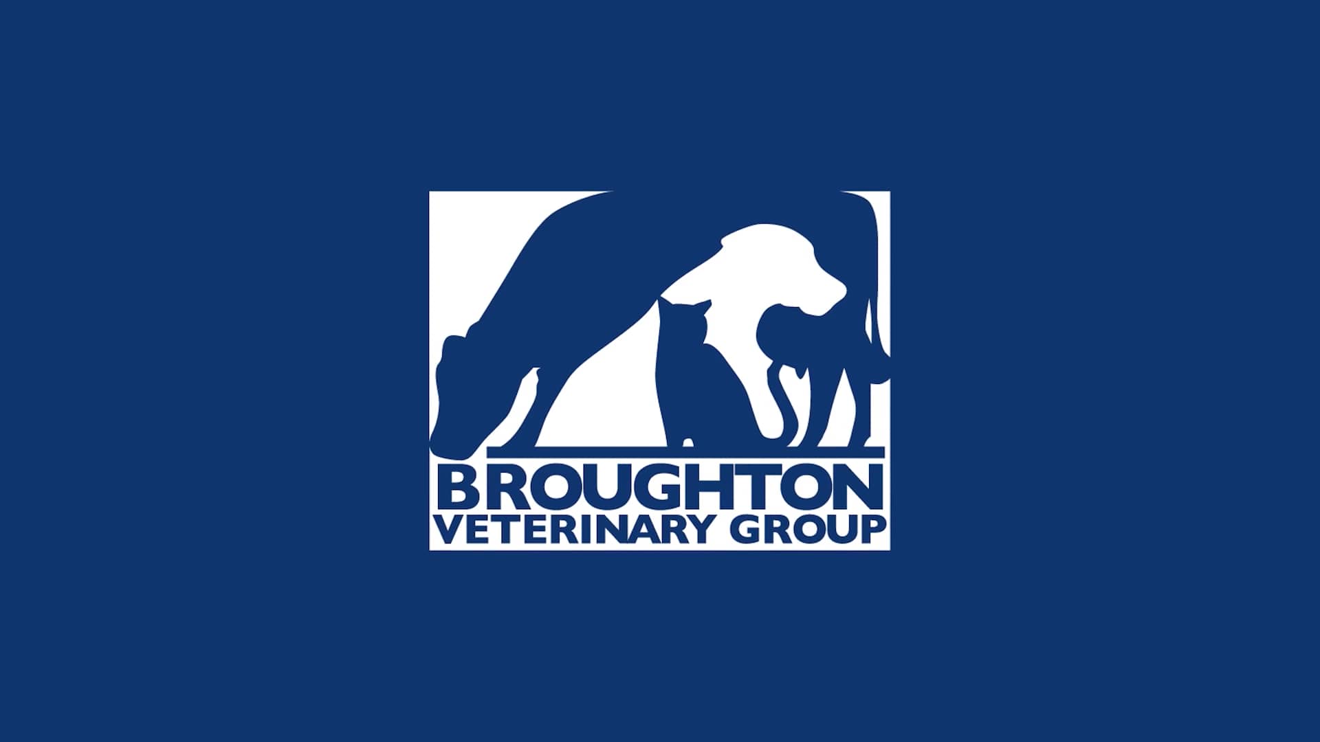 Broughton Veterinary Group on Vimeo