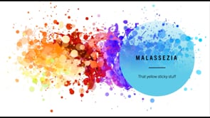 Malassezia, a common yeastinfection
