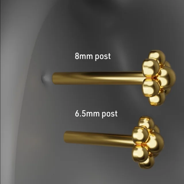 Earring Sizes - Post & Hoop Sizes By Piercing