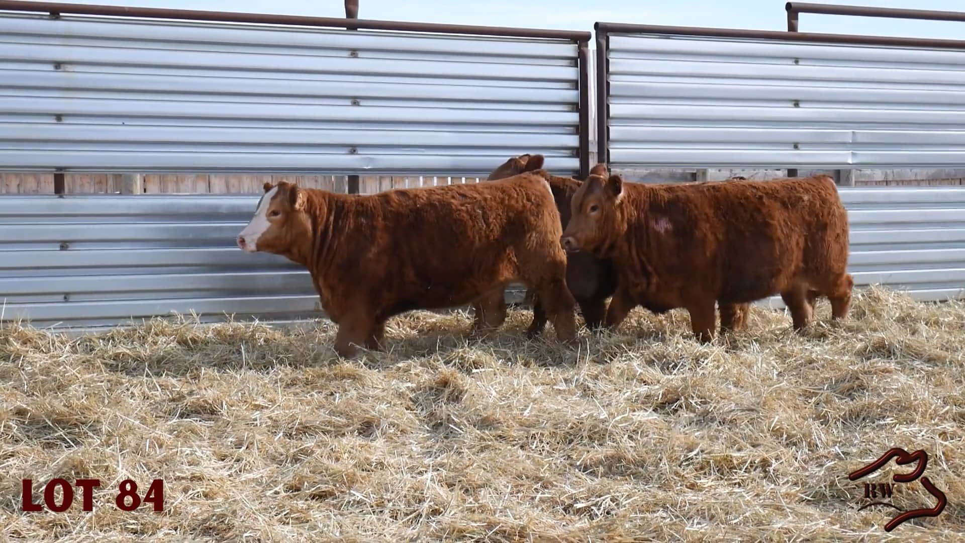 Lot 84 Red Willow Ranch Ltd. The Tyler’s on Vimeo